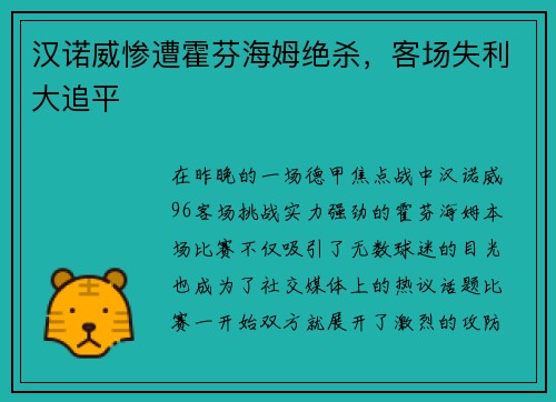 汉诺威惨遭霍芬海姆绝杀，客场失利大追平
