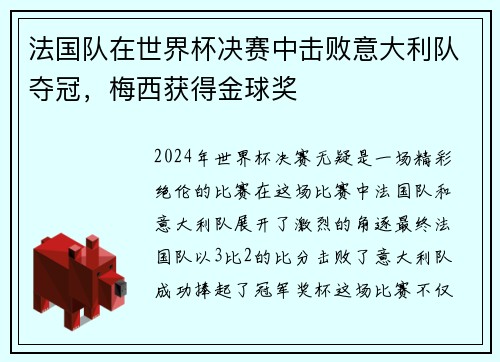 法国队在世界杯决赛中击败意大利队夺冠，梅西获得金球奖